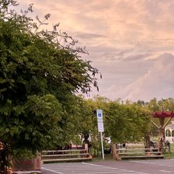 Tabora Farm and Orchard - Outdoor seating