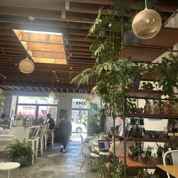 Maya Moon Collective - Themed Cafes Near Me - San Diego, California Maya Moon Collective - Themed Cafes Near Me - San Diego, California