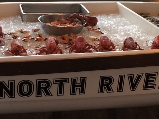 North River Lobster Company by null