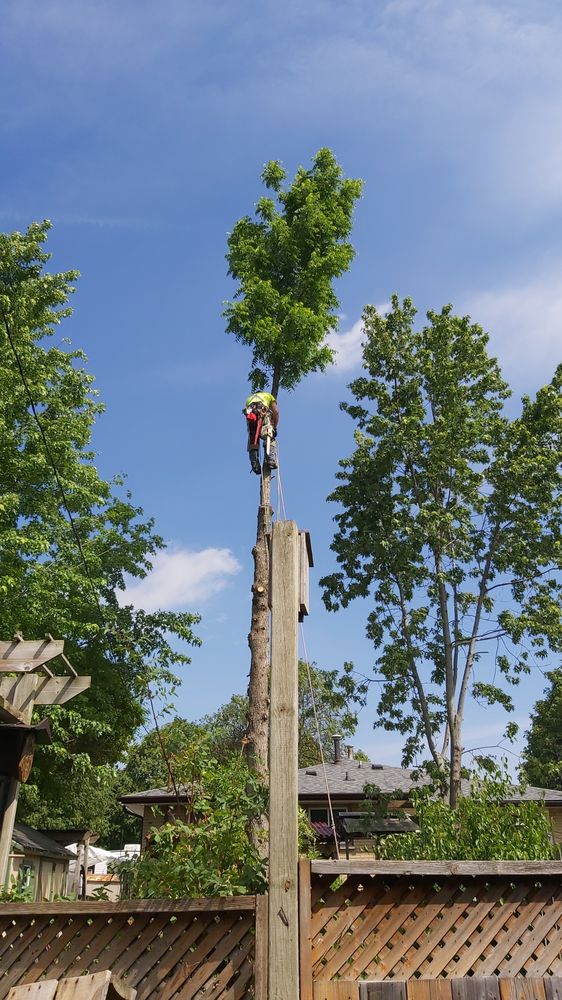 DAVEY TREE EXPERT CO. OF CANADA, LIMITED Updated September 2024 460