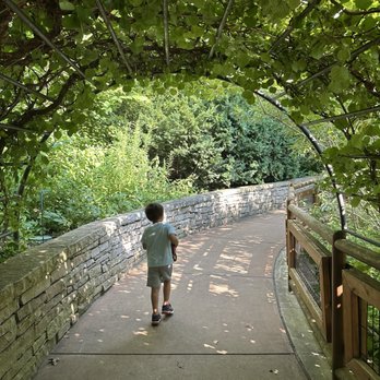 The Morton Arboretum - Botanical Gardens Near Me - Lisle, Illinois