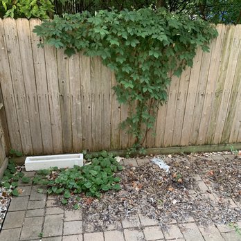 Camron's Precision Landscaping Multi Services - Before - Landscaping Near Me