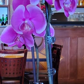 Present Restaurant - So many colorful orchids - Vietnamese Near Me - Falls Church, Virginia