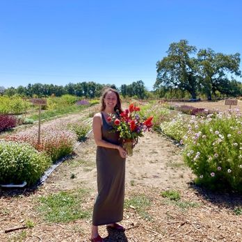 Poppies & Petals Farm - I made my first hand picked bouquet! - Pick Your Own Farms Near Me - Santa Rosa, California