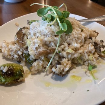 Trellis - Risotto - Wine Bars Near Me - Dundee, Oregon Trellis - Risotto - Wine Bars Near Me - Dundee, Oregon