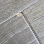Fantastic Floors