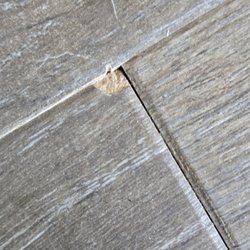 Fantastic Floors