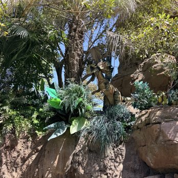 Jurassic World The Ride - Amusement Parks Near Me - Universal City, California Jurassic World The Ride - Amusement Parks Near Me - Universal City, California