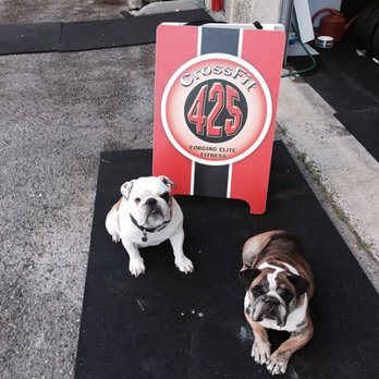CrossFit 425 - Mascots of CF425 Oscar and Tayo - Gyms Near Me - Bellevue, Washington
