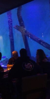 Cairns Aquarium by null