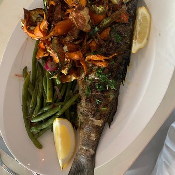 Blu Kouzina - Grilled fish - Greek Near Me - Sarasota, Florida Blu Kouzina - Grilled fish - Greek Near Me - Sarasota, Florida