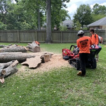 Driven Tree Service - Tree Services Near Me Driven Tree Service - Tree Services Near Me