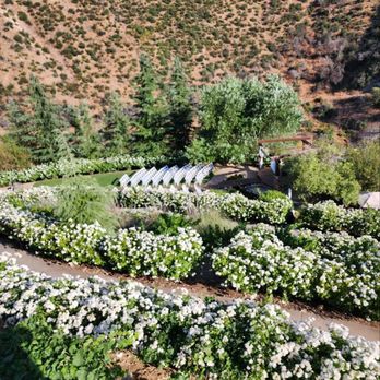Serendipity Garden Weddings - Wedding Planning Near Me - Yucaipa, California