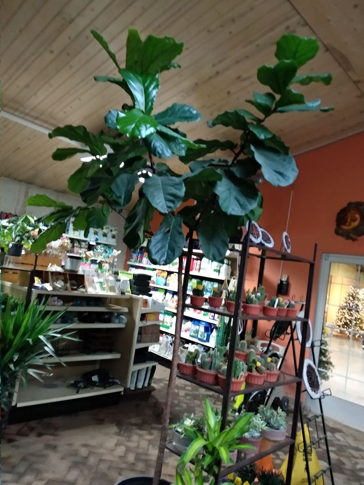 STEIN’S GARDEN & HOME - 27 Photos & 14 Reviews - 12217 W Watertown