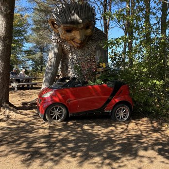 The Wild Center - Museums Near Me - Tupper Lake, New York