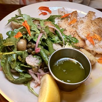 Dish Osteria and Bar - Cernia Rossa - Italian Near Me - Pittsburgh, Pennsylvania