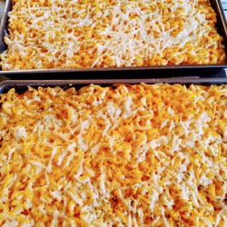 Hemp World Cafe - Vegan Mac n Cheese