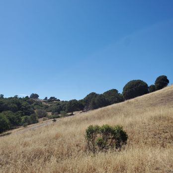 Wildcat Canyon Regional Park - Parks Near Me - Richmond, California Wildcat Canyon Regional Park - Parks Near Me - Richmond, California