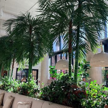 Pura Vida Miami - Breakfast & Brunch Near Me - Brooklyn, New York