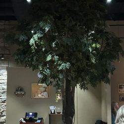 The Lazy Frog - Tree in the middle of the restaurant.
