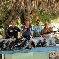 Los Hotel Pescadores - Record 37 yellowfin in one day.