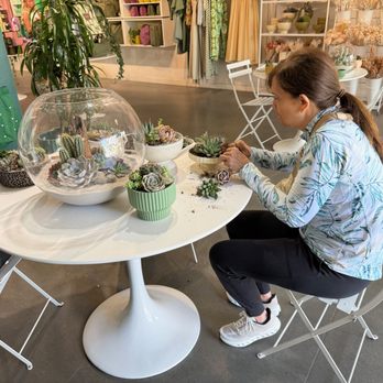 Pigment - My wife working hard on her succulents potting - Home Decor Near Me - San Diego, California