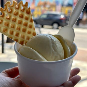 Chill Bros Scoop Shop - The Bees Knees Ice Cream - Ice Cream & Frozen Yogurt Near Me - Tampa, Florida