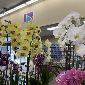 Lucky - Grocery Near Me - Los Altos, California Lucky - Grocery Near Me - Los Altos, California