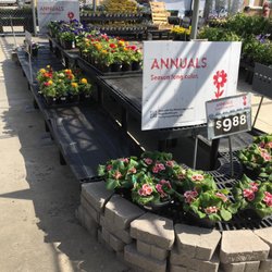 Walmart Garden Center - Limited Annuals