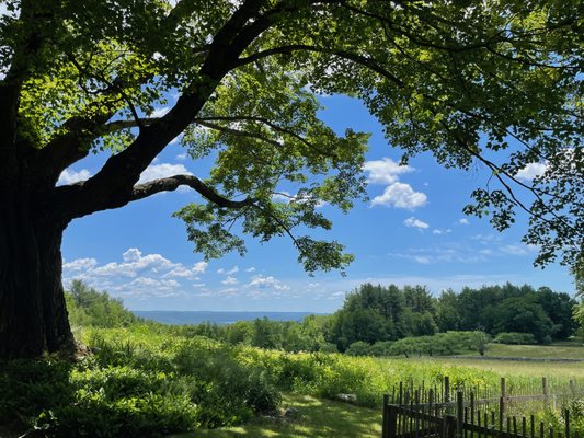 New Salem Cider by null