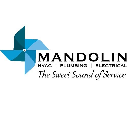 Slide of Mandolin
