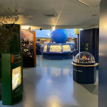 The Bailey-Matthews Shell Museum - Museums Near Me - Sanibel, Florida
