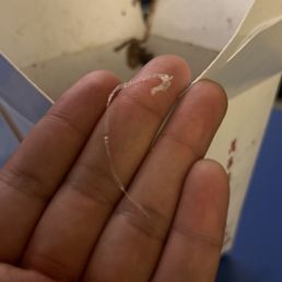 Plastic Plastic