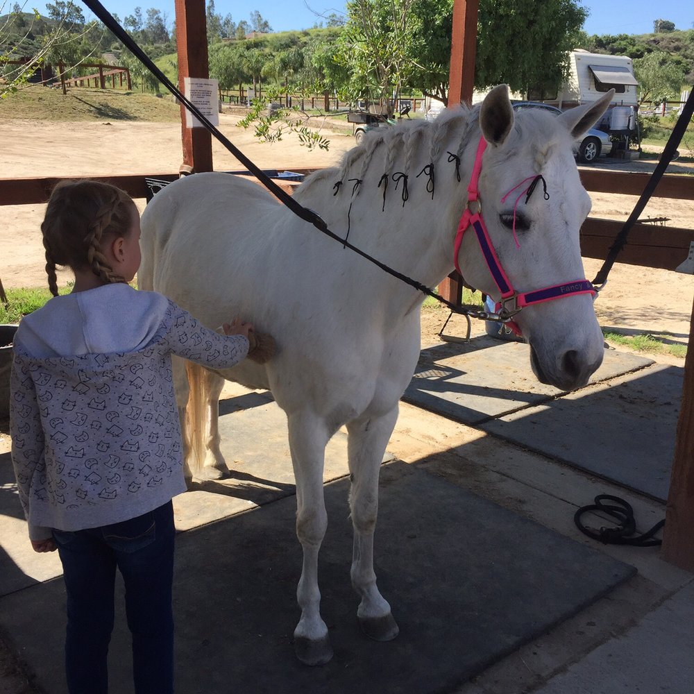 Breezeway Farms - My daughter is brushing Fancy before and after her lesson. - Horseback Riding Near Me - Temecula, California