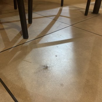 Jack in the Box - Big hair ball on the floor.. this entire place's just dirty - Fast Food Near Me - San Clemente, California Jack in the Box - Big hair ball on the floor.. this entire place's just dirty - Fast Food Near Me - San Clemente, California