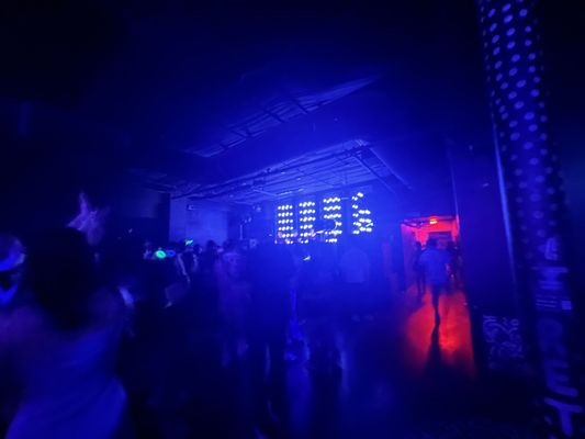 Discopussy by null