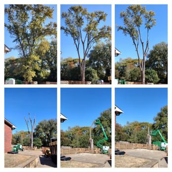 Haul it all - Tree Services Near Me - lebanon, Tennessee Haul it all - Tree Services Near Me - lebanon, Tennessee