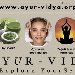 Ayur Vidya - Summary of all services in the banner