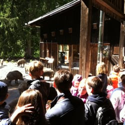 Walderlebniszentrum Grünwald