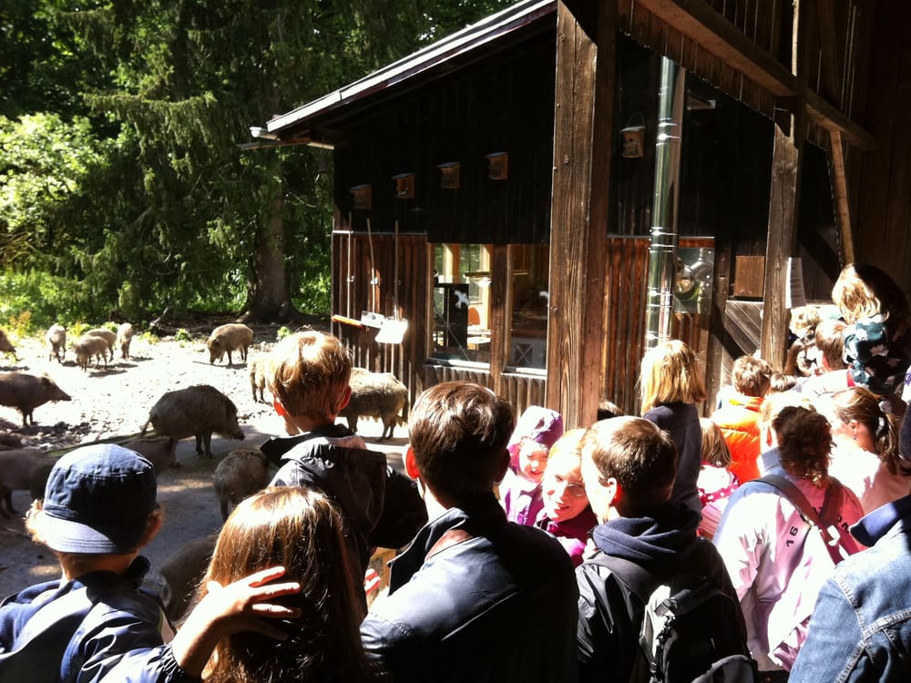 Walderlebniszentrum Grünwald