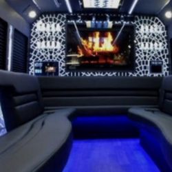 Eroc's Limo - Party bus