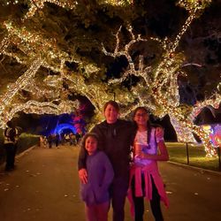 Lots of Halloween lights everywhere