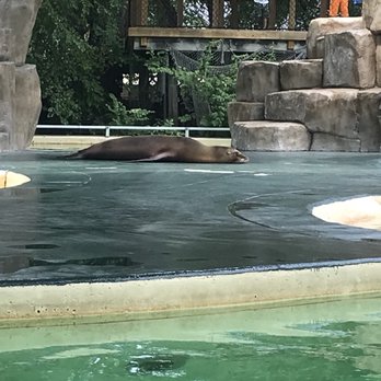 Blank Park Zoo - Zoos Near Me - Des Moines, Iowa Blank Park Zoo - Zoos Near Me - Des Moines, Iowa