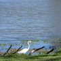 Photo of Gretna City Park