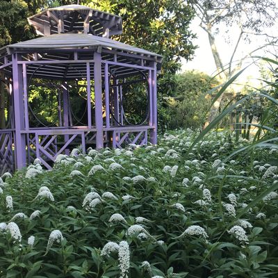 The Madoo Conservancy by null