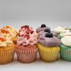 Rise Coffee & Bakery gift card