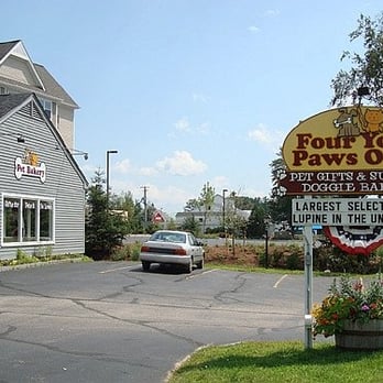 FOUR YOUR PAWS ONLY - Updated December 2025 - 26 Photos & 44 Reviews