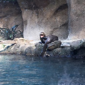 Zoo Miami - Zoos Near Me - Miami, Florida