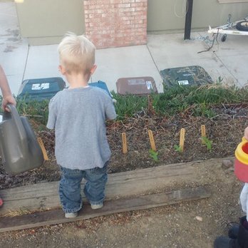 Baby MacBean - Watering their plants - Preschools Near Me - Benicia, California Baby MacBean - Watering their plants - Preschools Near Me - Benicia, California