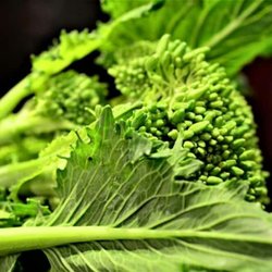 Il Pizzicotto - Cime di rapa